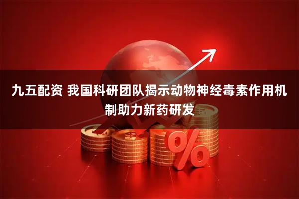 九五配资 我国科研团队揭示动物神经毒素作用机制助力新药研发