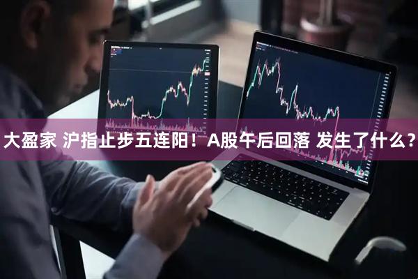 大盈家 沪指止步五连阳！A股午后回落 发生了什么？